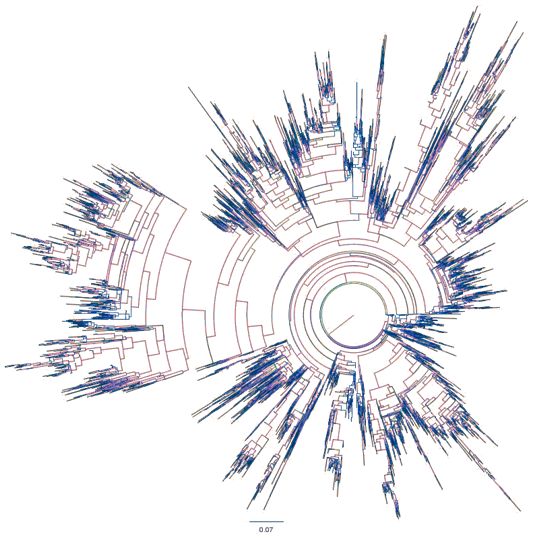 An external file that holds a picture, illustration, etc., usually as some form of binary object. The name of referred object is rmmj-3-2-e0009_Figure1.jpg